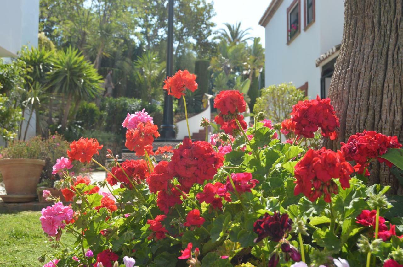 Puebla Agata Apartman Marbella Kültér fotó